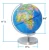 Gelsonlab HSGA-031 Educational 8 inch World Globe  Built in LED Light with World Map and Constellation View
