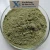 GMP High Quality Natural Tea Powder Camellia sinensis Powder Matcha Green Tea Powder