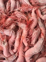 Good Price Fresh Frozen PUD Crystal Red Shrimp