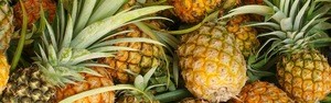 Grade A Fresh Cultivated Pineapple From Bangladesh