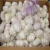 Import Grade A Fresh Natural Garlic Price - New crop, Hot sales from Brazil