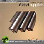 Graphite Properties Expanded Graphite Sheet With SS304 Insert Graphite Product Sealing Packing Rope