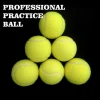 Gravim Personalized Brand Match/Inflatable Jumbo/Big/Mini/Competitive/Training/Pet Tennis Ball Factory