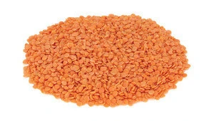 Green Lentils CHEAP PRICE FOR SALE