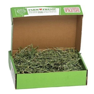 Healthy Alfalfa Hay in Bales