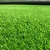 Import High density outdoor landscape artificial grass carpet from China