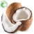 High Quality 100% Pure Natural Dried Coconut Oil Powder Plant Extract