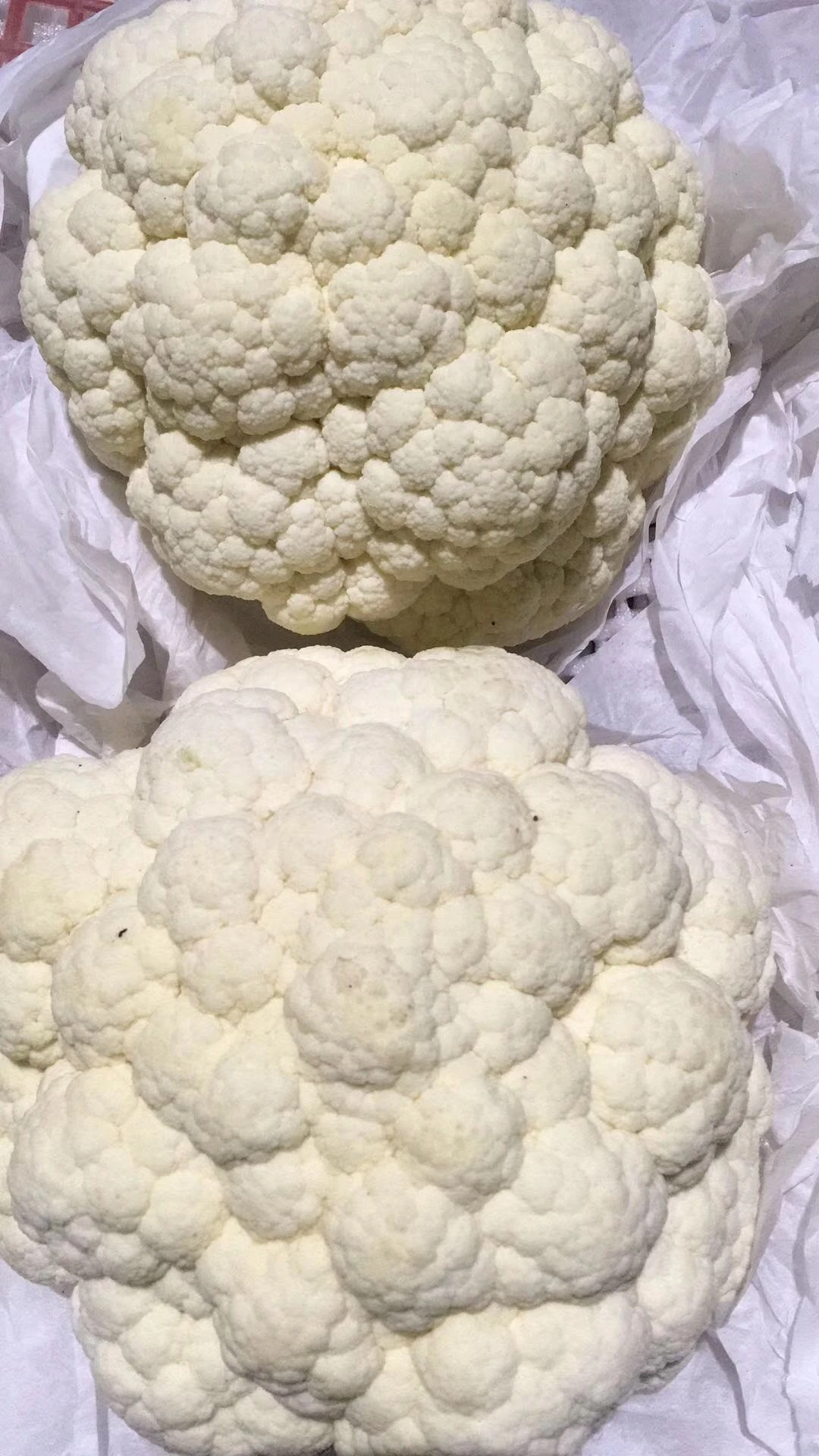 High quality and cheap price 2020 new crop fresh cauliflower