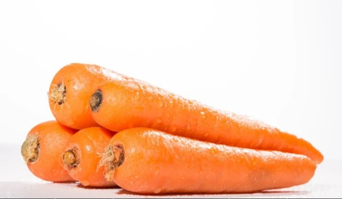 High Quality Fresh Carrots for Sale from Egypt