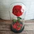 Import High Quality Preserved Fresh Roses With Competitive Price from China