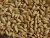Import High Quality Russian Pearl Barley For Wholesale from South Africa