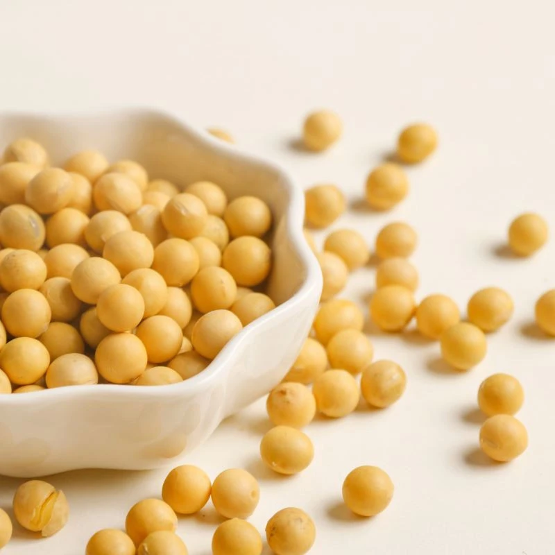 High Quality Soybean Natural Animal Feed Soya Beans Seeds