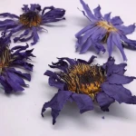 HO4009 Lan Lian Hua Non-vacuum natural premium blue lotus tea dried Blue Lotus flower Nymphaea caerulea