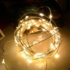 Holiday Lighting Waterproof Silver Copper Wires 3AA Battery Operated  Wedding Party Events Christmas LED Fairy String Lights