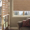 Home use functional design manual day night zebra blinds/motorized blinds