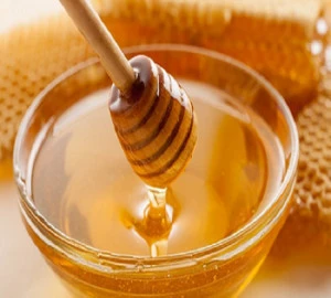 Honey Bee Vietnam