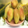 [HOT] China fresh red fragrant su pear