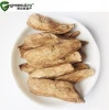 Hot sale High Quality Burdock Root Extract