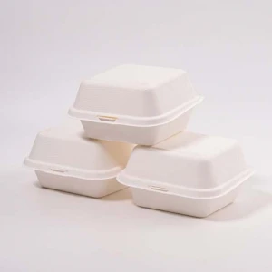 hot sale Paper Tableware Pulp Molded Disposable Catering Food Container Bagasse Plate