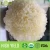 Import Hot sales snow fungus mushroom spawn from China
