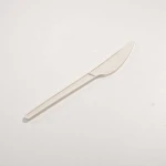 Hot Selling 6 Inch Disposable Compostable 100% Biodegradable Tableware Sets PLA Cutlery Biodegradable Knife For Dinner