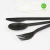 Import Hot selling Eco bio degradable Cutlery PLA Plastic Cutlery from China