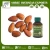 Import Indian Supplier Organic Sweet Almond Carrier Oil from India