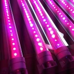 indoor agricultura hydroponic double ended bar strip full spectrum t5 t8 led grow light fixture plant lamp for vertical farming