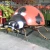 Import Innova- good quality lifelike artificial silicone rubber playground animatronic insect from China
