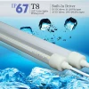 IP67 T8 LED tube light for freezer, led cooler lights waterproof led tube light T8