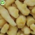 Import IQF Supplier wholesale frozen ginger of export price per kg from China