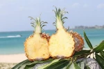 Japan High Quality Bogor Pineapple Frozen Box Fruit