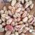 Import Kidney beans in bengali from iran alva aluminium limited from China