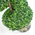 Import Large Green Potted Faux Plastic Plants Artificial Large Bonsai Topiary Ball Bonsai Tree from China