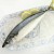 Import Large Stock Ready stock Promotional Frozen Sea Fish Scomber Japonicus Pacific Mackerel new fish from China