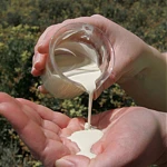 Latex Concentrate, 60% High Grade,natural latex concentrate