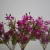 Import LED Solar Garden Light Outdoor Vivid Butterfly Orchid Spike Decorative Lawn Light Solar Flower Light from Pakistan