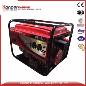 Life-Long Service 3000w 6.5hp cam professional gasoline generator