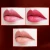 Import Liquid Matte Lipstick Private Label Waterproof Lipstick Makeup Lipstick from China