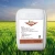 Import liquid organic fertilizer seaweed amino acid and humic acid liquid fertilizer from China