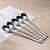 Import Long Handle Stainless Steel 18/10 Dessert Ice Cream Tea Coffee stirring Spoon from China
