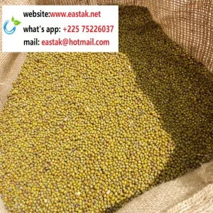 Low price Non-GMO green mung bean from Africa- whats app:+22575226037