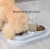 Import Luxury Smart Auto Automatic Pet Dog Cat Food Water Dispenser Bottle Bowl Pet Feeder from China