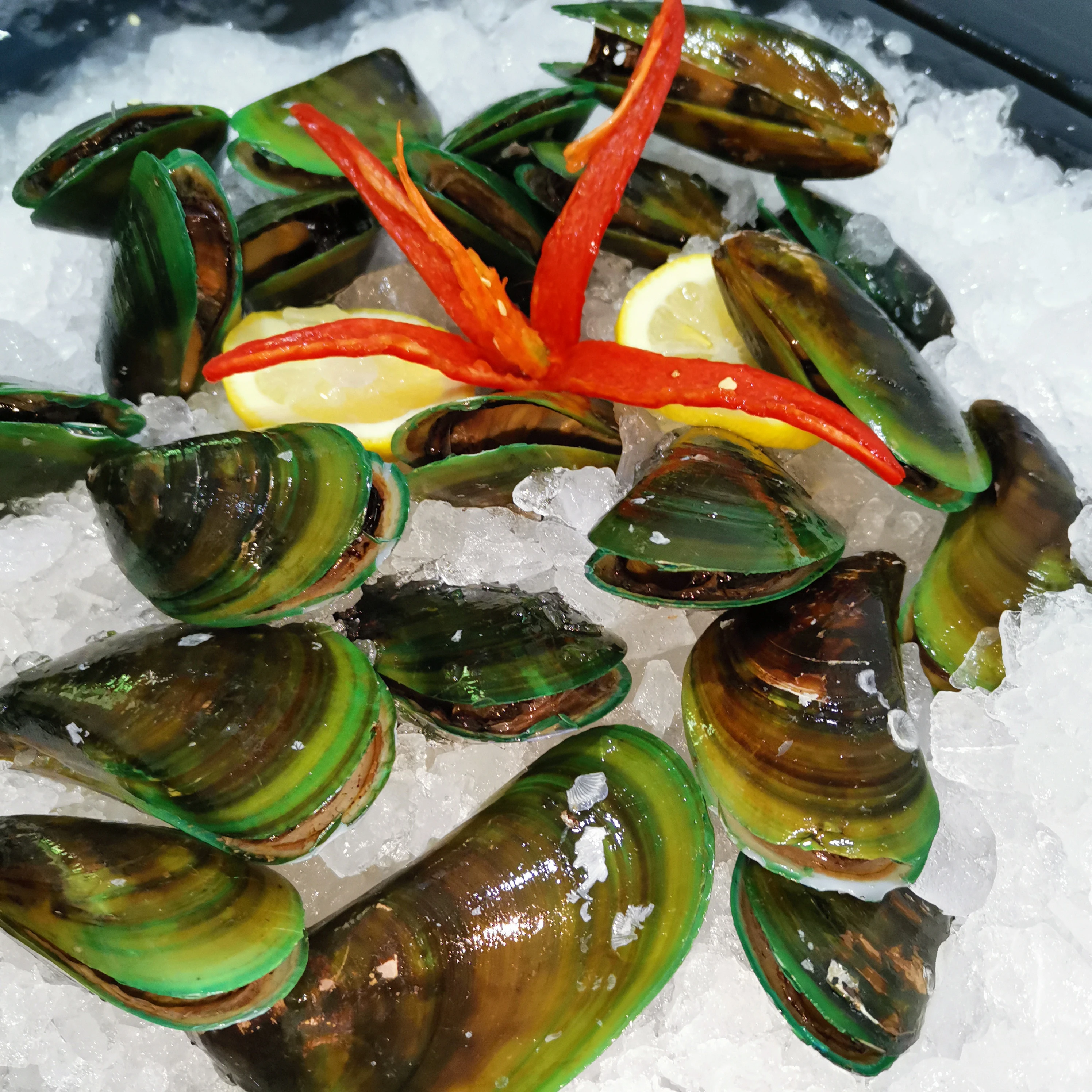 Mican Food Imported Fresh Seafood Frozen Half Shell Green Mussel From Malaysia
