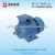 Import Mindong brand three-phase induction motor electric motor from China