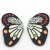 Import Mixed Polymer Clay Butterfly Spacer Loose Beads For DIY Jewelry For sale from China