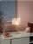 Import Modern contracted butterfly floor lamp sitting room desk lamp bedroom dining-room stylist bedside small droplight from China