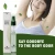 Import Moisturizing Whitening Refresh Women Deodorant Body Deodorant 10ml*3 Underarm Root Spray Deodorant Body Spray from China