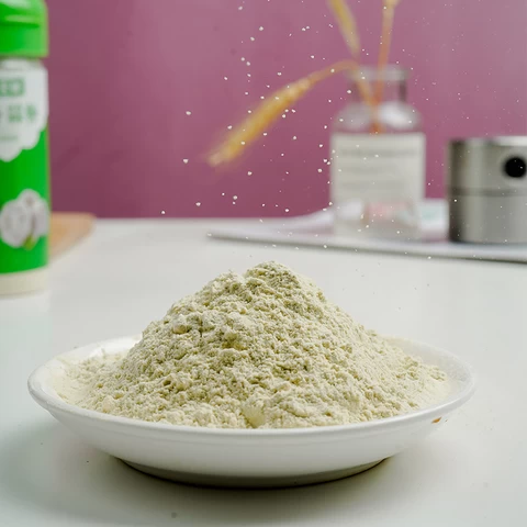 Most Popular Taste Seasoning Powder Food Seasoning Garlic /ginger powder Food Seasoning For sale