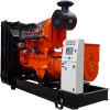 Natural gas generator set